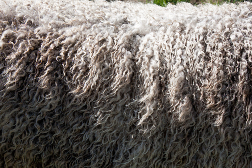 Heading towards winter: a wool new season